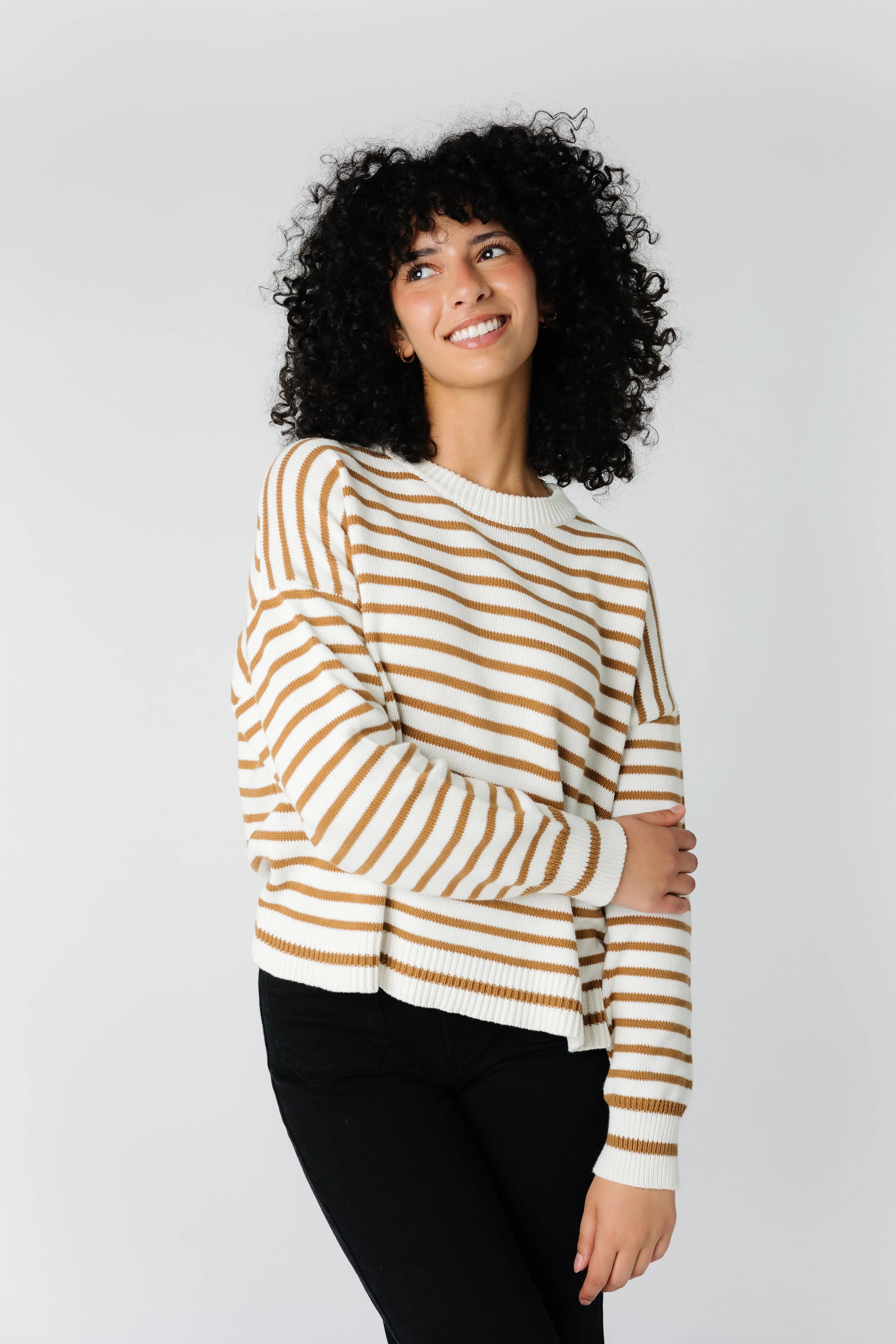 Noah Striped Sweater